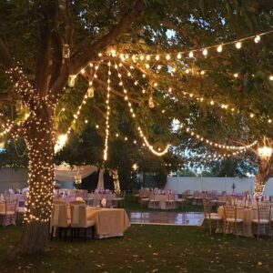 Festoon Lighting